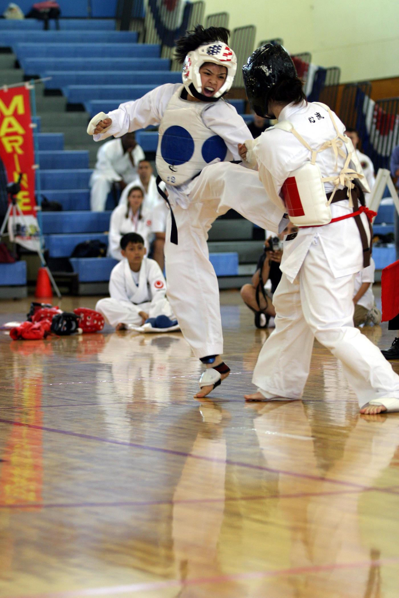 Release0204-2004-05-karate.jpg