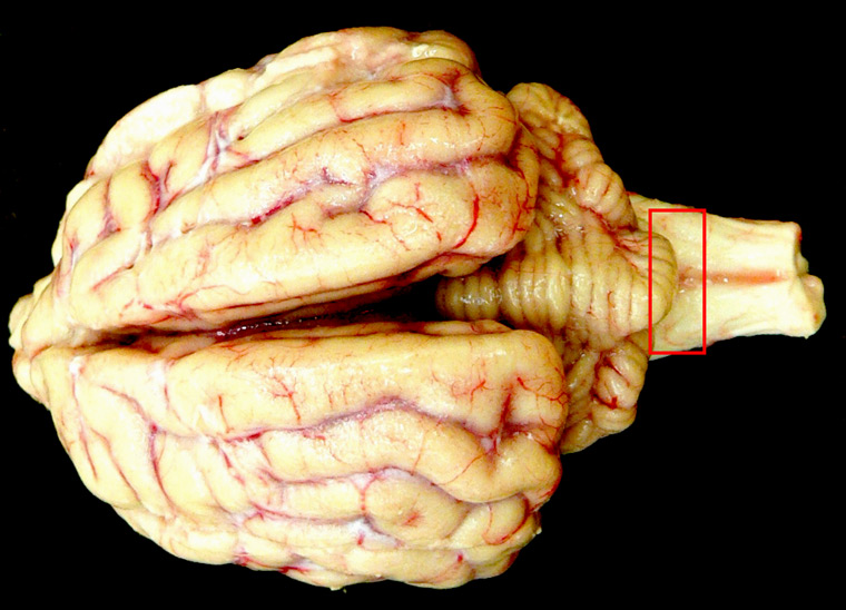 BSE_001.jpg