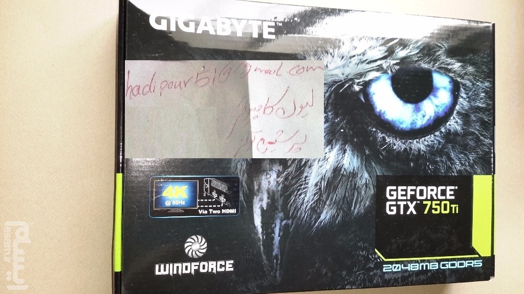 666666.jpg