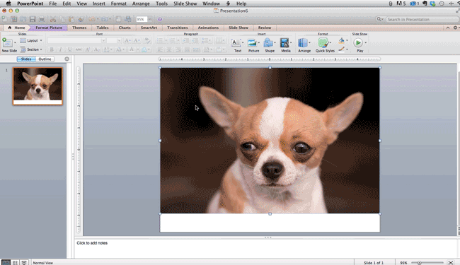 best-powerpoint-tricks7.gif