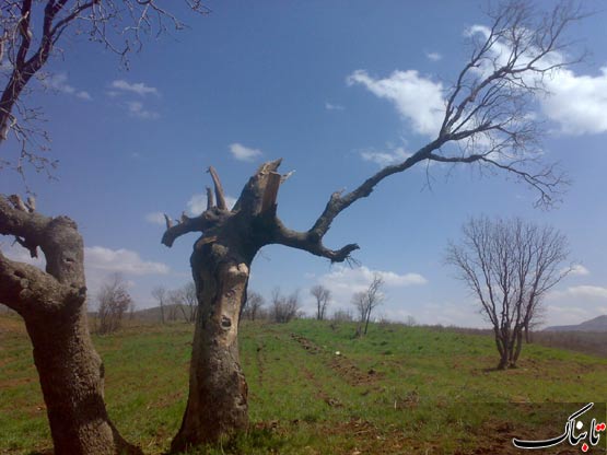 148818_126.jpg