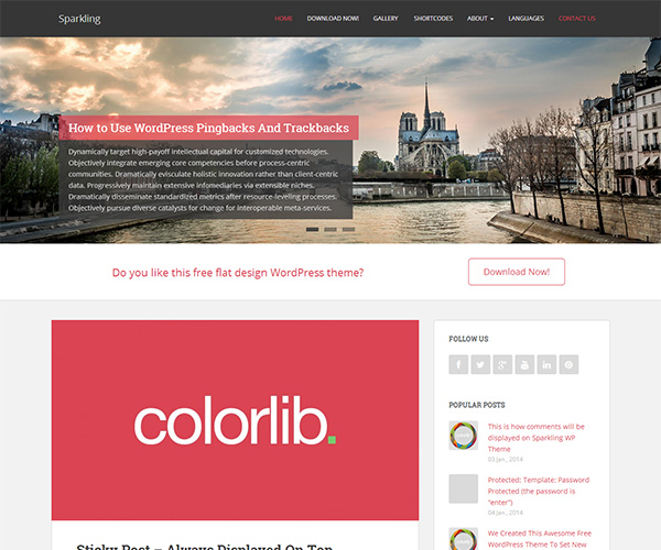 Sparkling-Free-flat-design-WordPress-theme.jpg