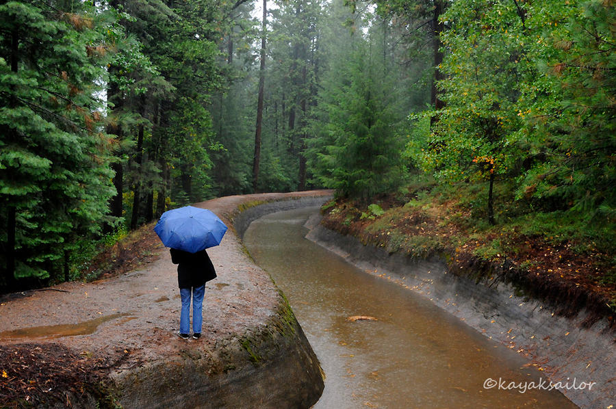 blue_umbrella_by_kayaksailor-d31itvr.jpg