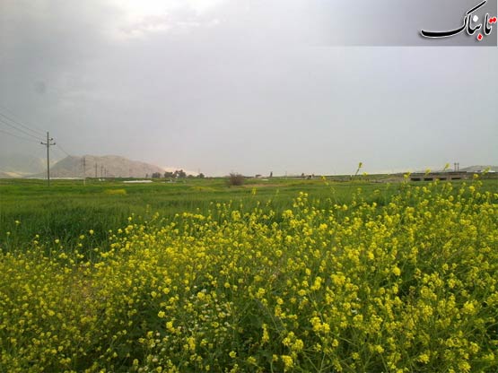 151192_427.jpg