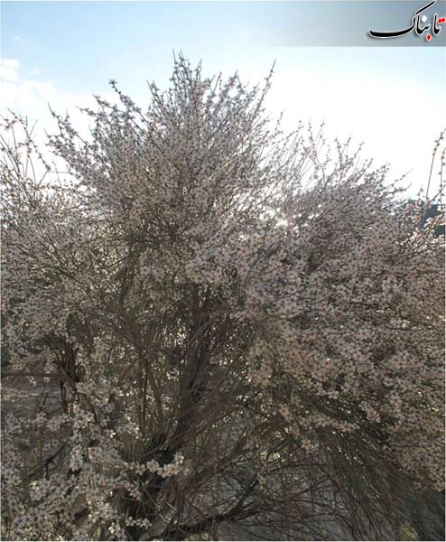 142948_134.jpg