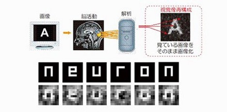 neuron-brain_01%5B6%5D.jpg