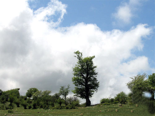 159127_136.jpg