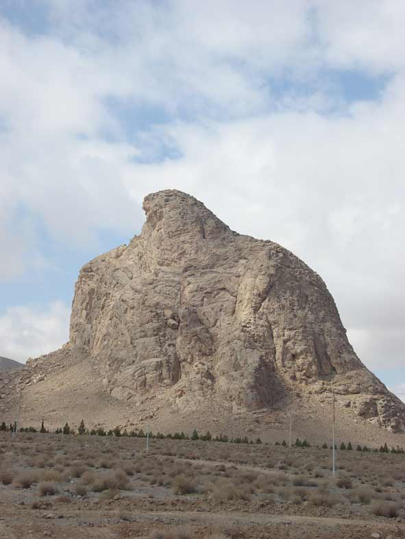 93524_372.jpg