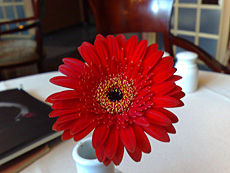 06072007044.jpg