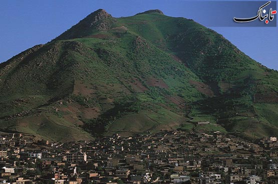 146680_498.jpg