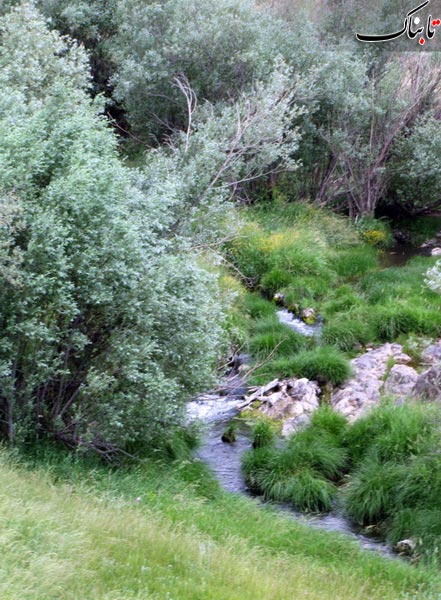 146679_561.jpg
