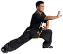 bee_nanquan1.jpg