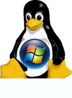 Windows%20or%20Linux.jpg