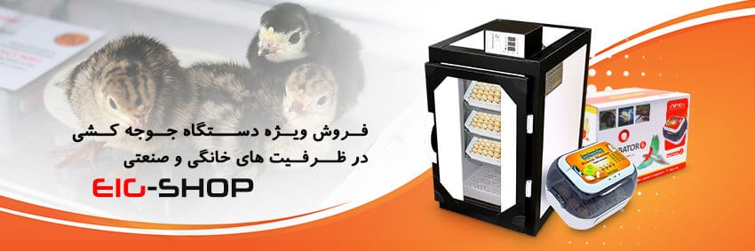 Egg-incubator.jpg