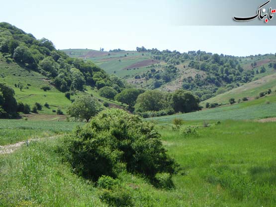 147631_765.jpg
