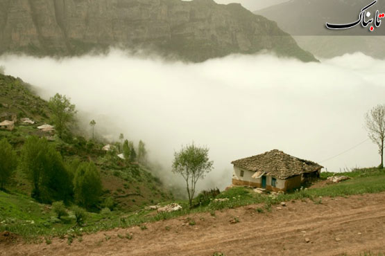 143570_610.jpg