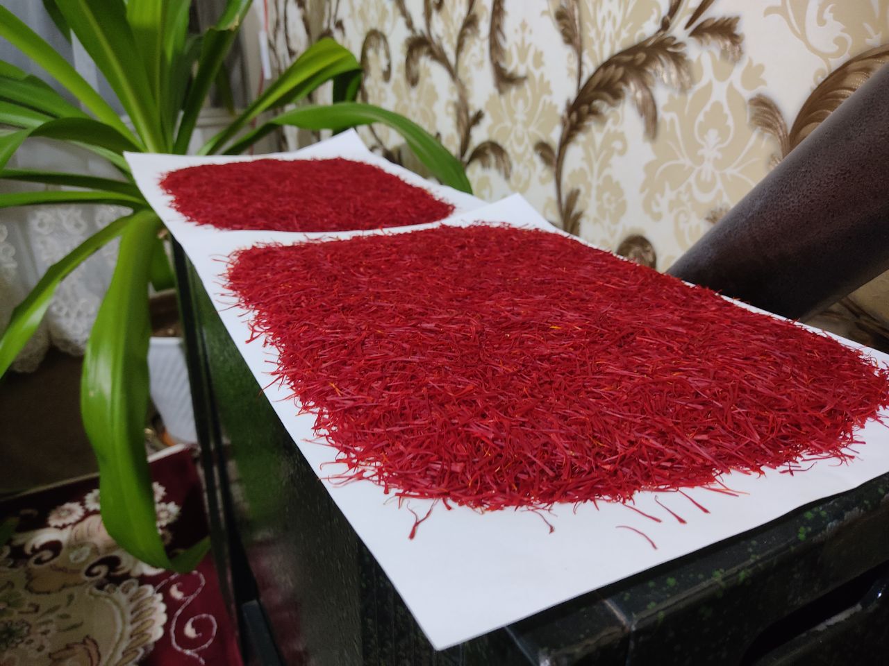 خشک کردن زعفران بر روی بخاری