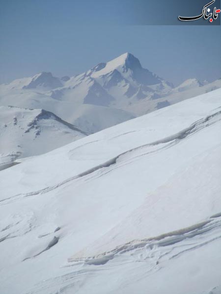154158_934.jpg