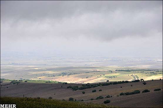 98957_937.jpg