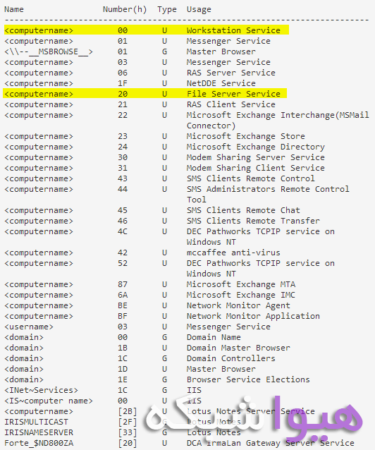 NBTSTAT03.gif