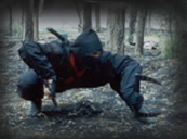 ninja%20005.jpg