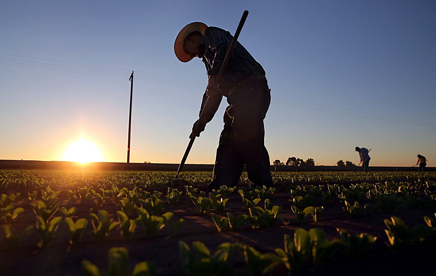 je6e_migrant-workers-12.jpg