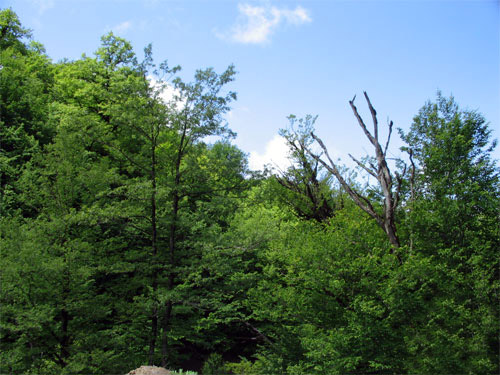 159128_206.jpg