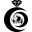 www.neginhelal.com