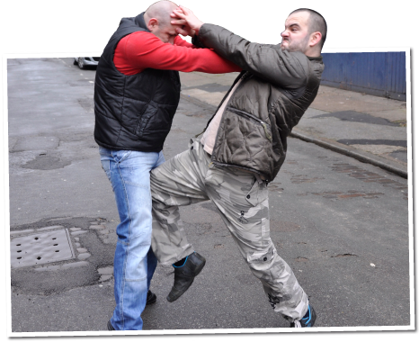 krav_maga_system_01.png