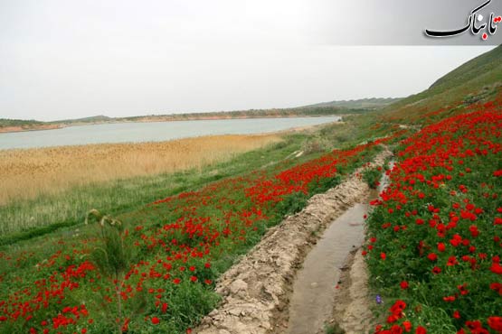 146956_910.jpg