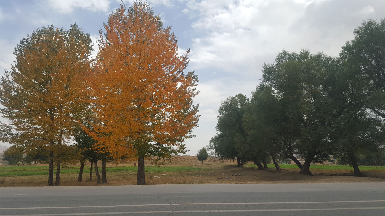 dis6_20151001_113407.jpg
