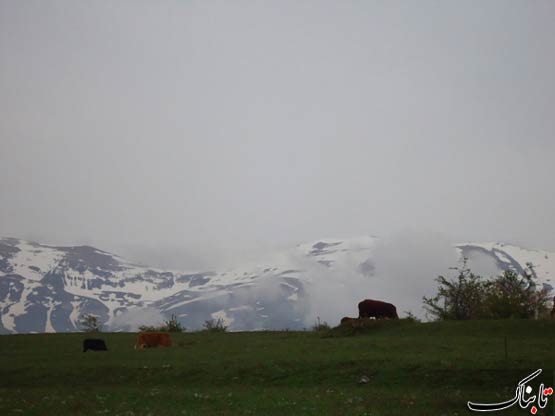 152610_390.jpg