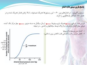 Slide13.JPG