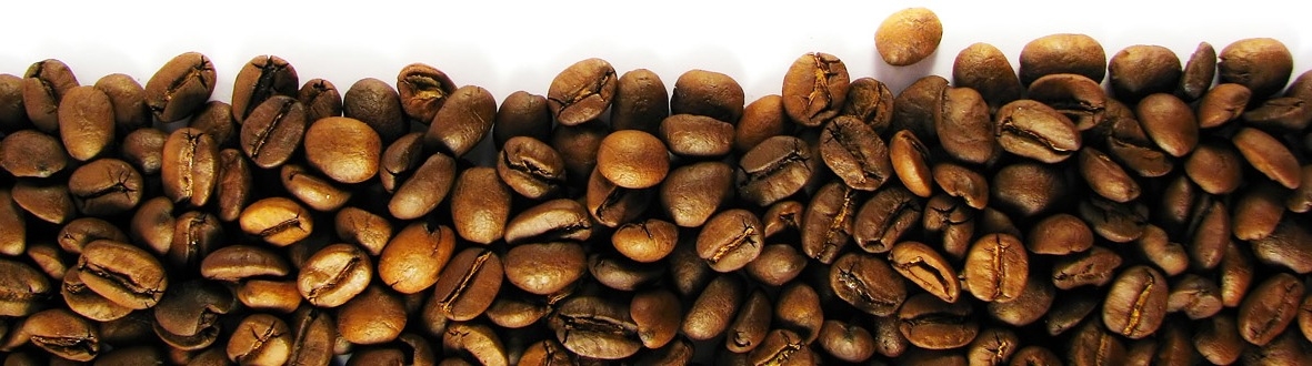 beans3.jpg