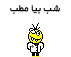 shab.gif