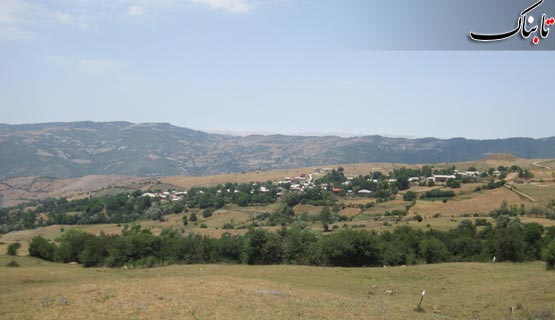 154184_138.jpg