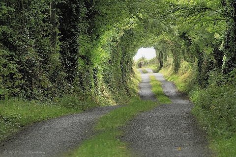 tumblr_lgvsi0iLpI1qb62c4o1_500.jpg