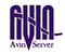 avinserver.com