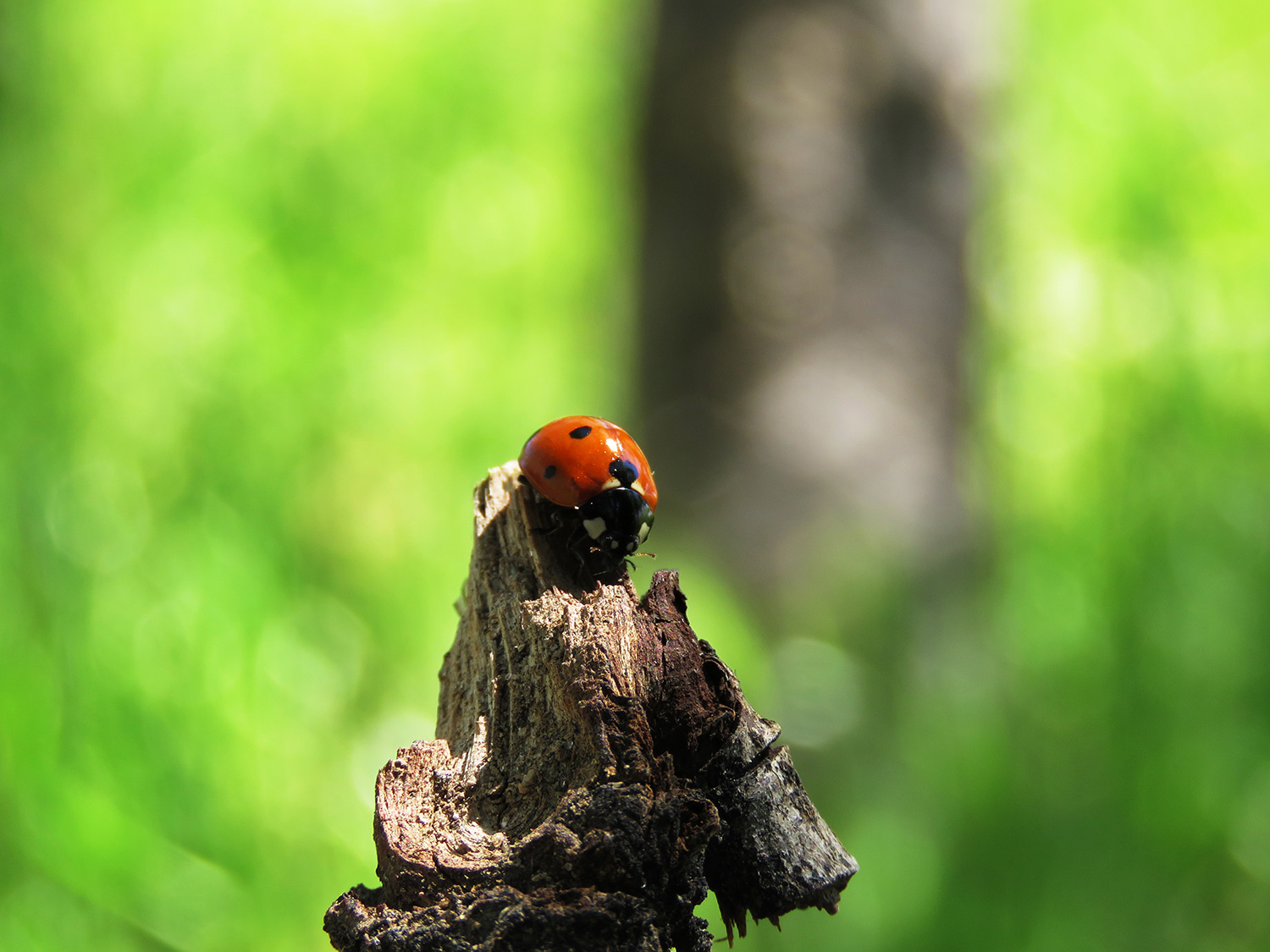 IMG_5898.jpg