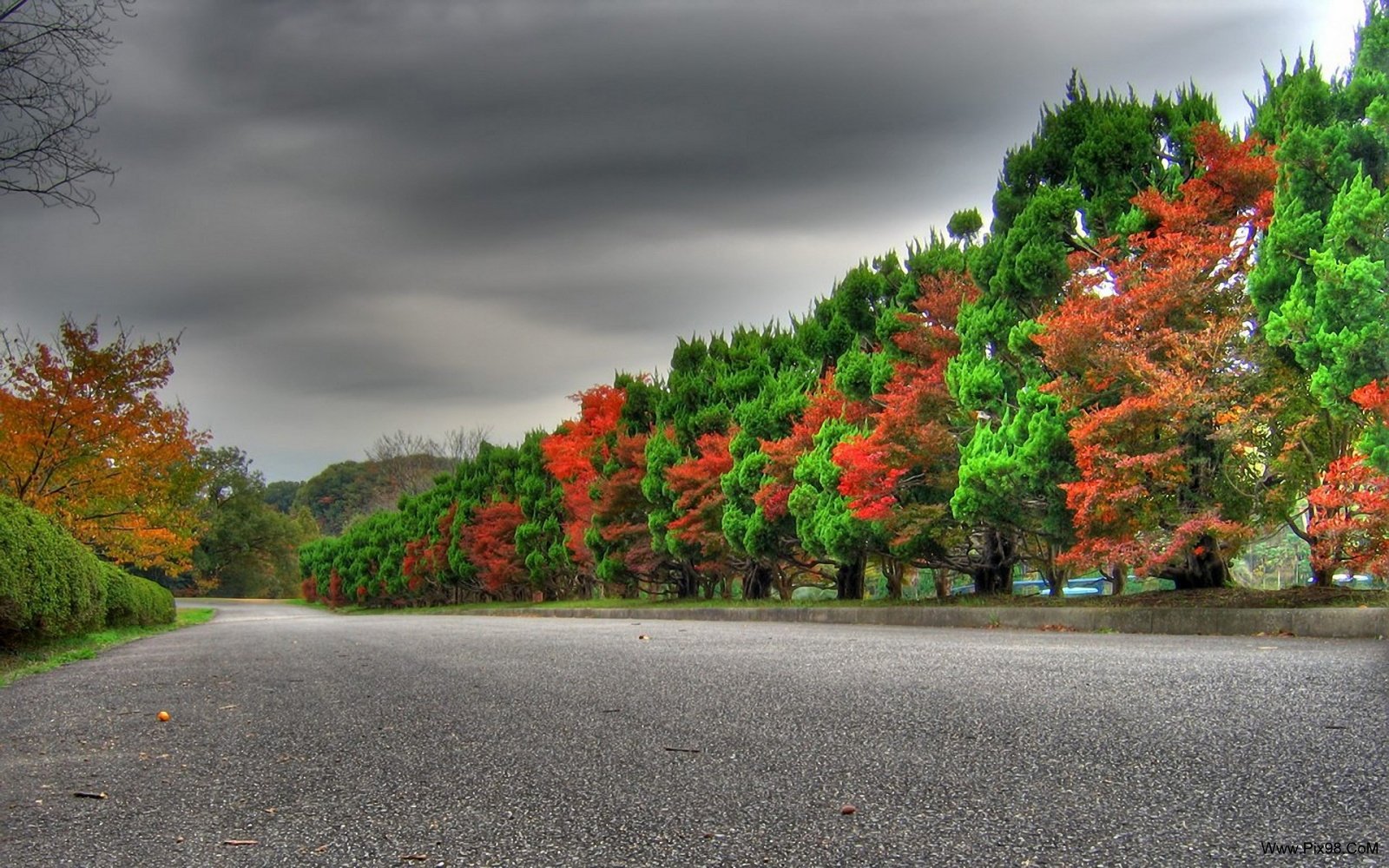 Amazing_Nature_2.jpg