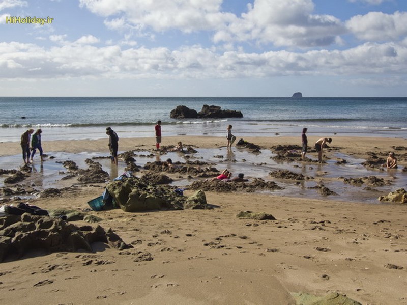 Hot-Water-Beach-New-Zealand.jpg
