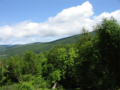 159140_740.jpg