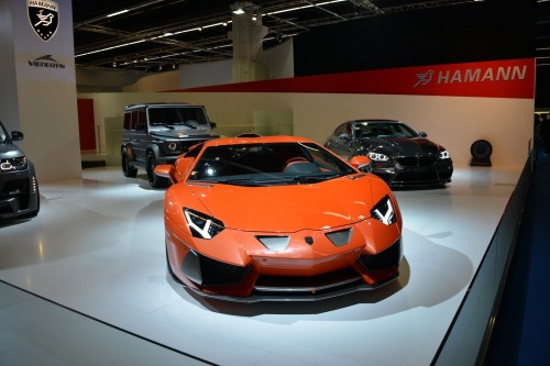 Hamann-Nervudo-Aventador-12-500x333.jpg
