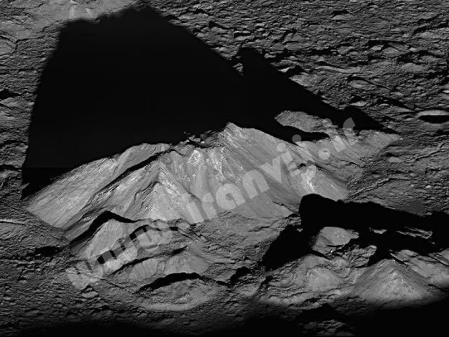 216659_452.jpg