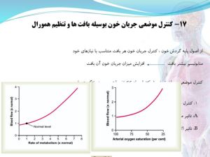 Slide2.JPG
