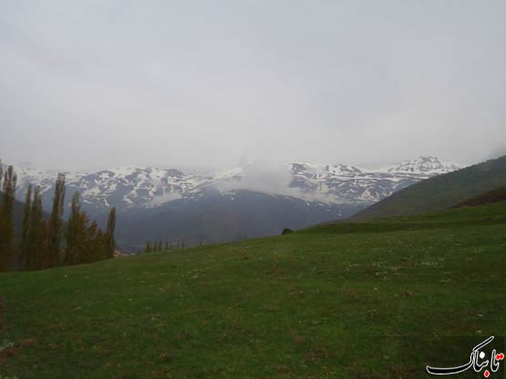152608_496.jpg