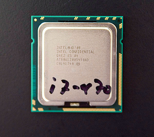 chipchip2.jpg