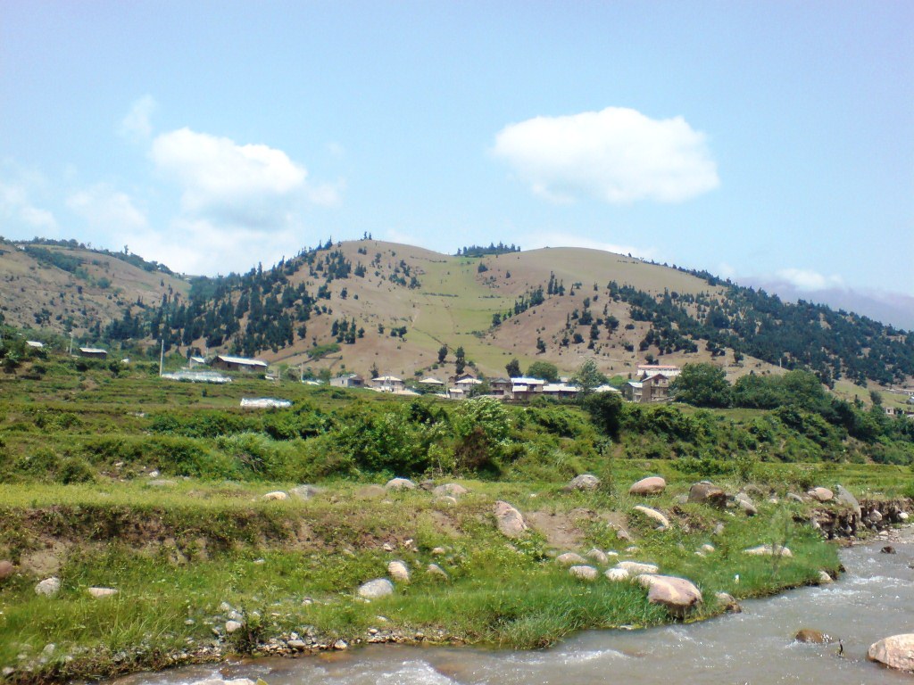 134.jpg