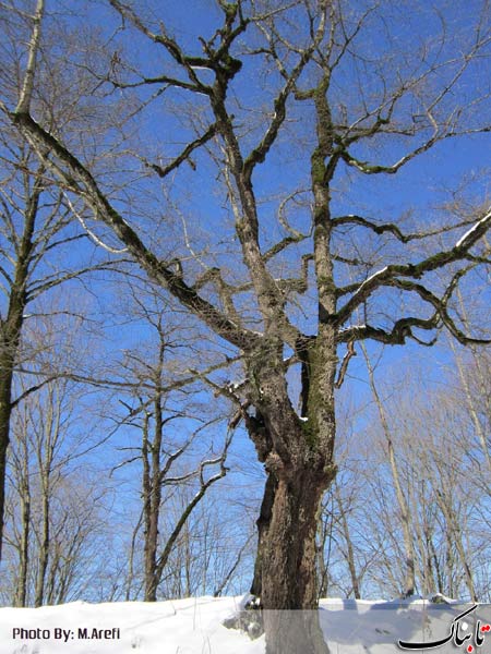 147592_537.jpg