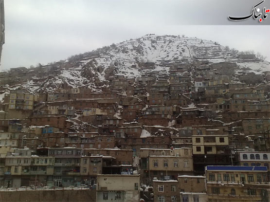 142937_160.jpg